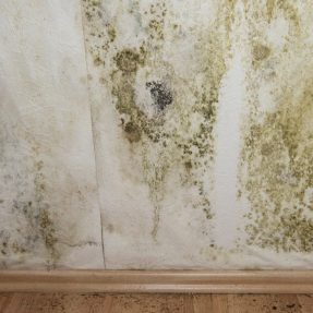 Comment font les professionnels pour retirer les traces d’humidité sur les murs ?