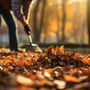 Novembre au jardin : préparez-vous à affronter l’hiver avec l’aide de nos experts Interservices !