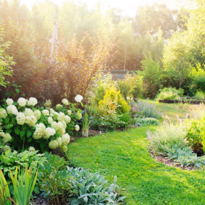 L’été au jardin : nos conseils Interservices pour entretenir vos espaces verts