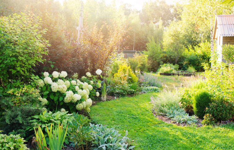 L’été au jardin : nos conseils Interservices pour entretenir vos espaces verts