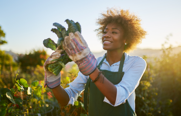 Le guide complet pour lancer son entreprise de jardinier paysagiste