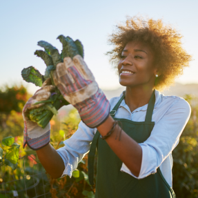 Le guide complet pour lancer son entreprise de jardinier paysagiste