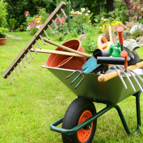 Les outils nécessaires pour lancer son entreprise de jardinage