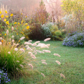 Comment créer un jardin autonome ?