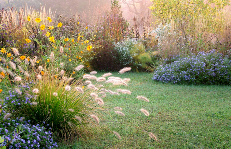 Comment créer un jardin autonome ?